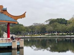 -金砂公园