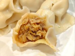 猪肉酸菜-听涛雅苑百味饺子老家菜馆