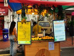 -马六甲鸡场街
