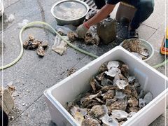 -花苑美食横琴生蚝火锅(拱北粤华路店)