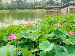 -西海子公园