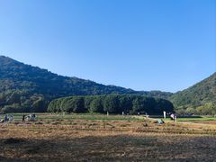 -八卦田遗址公园