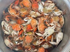 -渔家小院观海海肠捞饭地方菜(环海中路店)