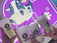-一只酸奶牛(八一路店)