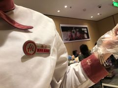 -海底捞大排档火锅(打浦路店)