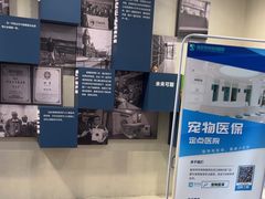-伟伟宠物医院·CT影像中心·瑞派犬猫综合性门诊(汉口总院)