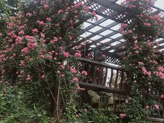 -正宗火盆自助烧烤·烤全羊·柴火鸡(龙泉山店)