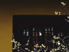 -西园戒幢律寺