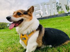 -瀛海足球主题公园