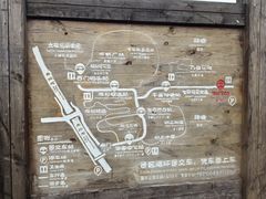 -池杉湖湿地公园