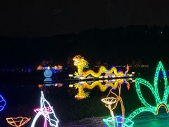 -飞凤山奥体公园