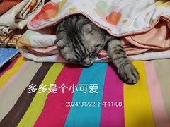 -美联众合动物医院·24h京西诊疗中心