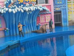 -华夏文旅海洋公园