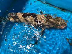 -学府海鲜批发市场