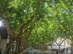 -一尺花园(安和花园店)