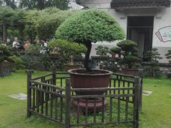 -水绘园