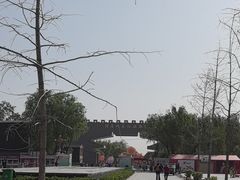 -洛阳市隋唐城遗址植物园