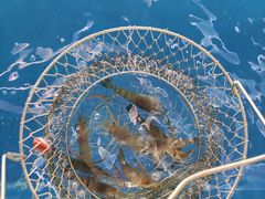 -SHRIMP CLUB万东餐饮钓虾·清吧