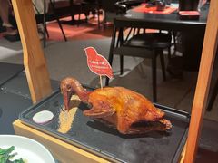 -羽鸽集·乳鸽专门店·地道顺德菜(岭南站店)