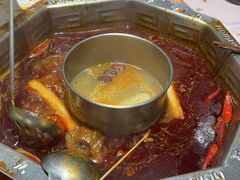 -蜀九香火锅(九眼桥店)