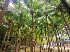 -海南分界洲岛旅游区