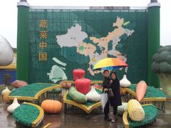 -上海都市菜园