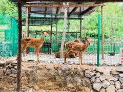 -西部长青自然儿童乐园