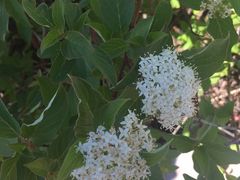 -鄂尔多斯野生动物园