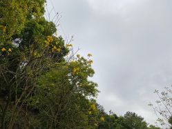 -厦门美莱整形美容医院