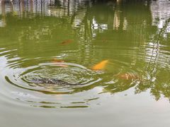 -浙江大学(玉泉校区)