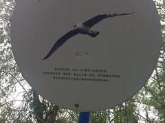 -白鹭湾湿地公园