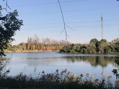 -昆山城市生态森林公园