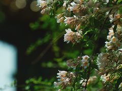 -北海公园