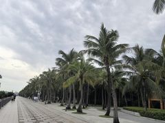 -深圳湾公园(南山区)