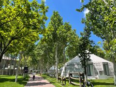 -九十九顶毡房(阜石路店)