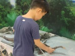 -TOYSRUS玩具反斗城(上海万象城店)