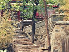 -大觉寺-停车场