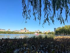 -莲花池公园