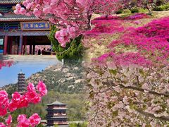 -石岛赤山风景区