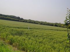 -嘉北郊野公园