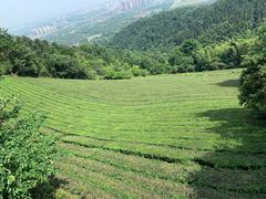 -敬亭山风景名胜区