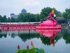-莲花池公园