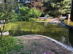 -蒲黄榆第二幼儿园(建邦华府分园)