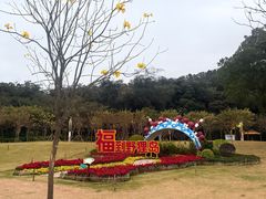 -野狸岛