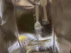 -帕奈拉(体验店)