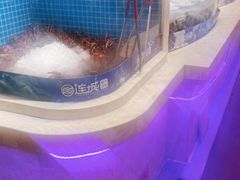 水产区-乔哥铭洋海鲜自助(皇城恒隆广场店)