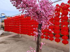 -东钱湖水上乐园(南门)