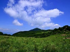 -白草畔自然风景区