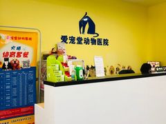 -瑞鹏宠物医院·爱宠堂·骨外专科(西荷分院)