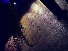 -泓0871臻选云南菜·味庄